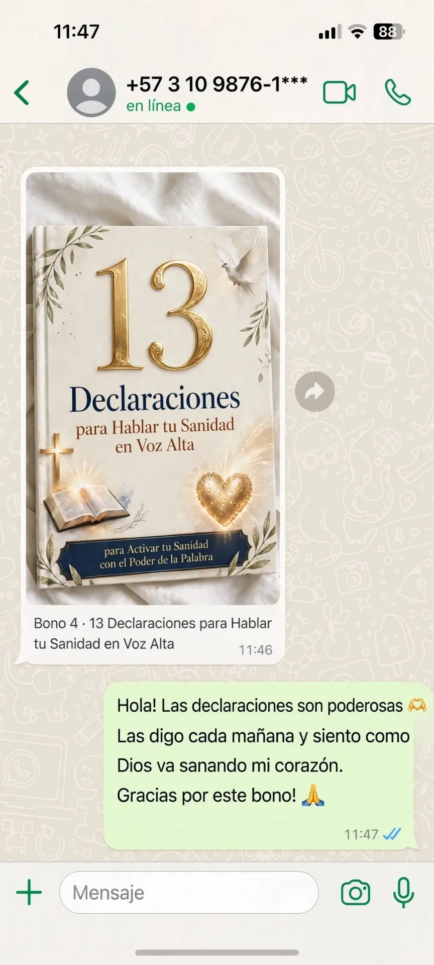 Testimonio real sobre 13 Declaraciones para Hablar tu Sanidad en Voz Alta